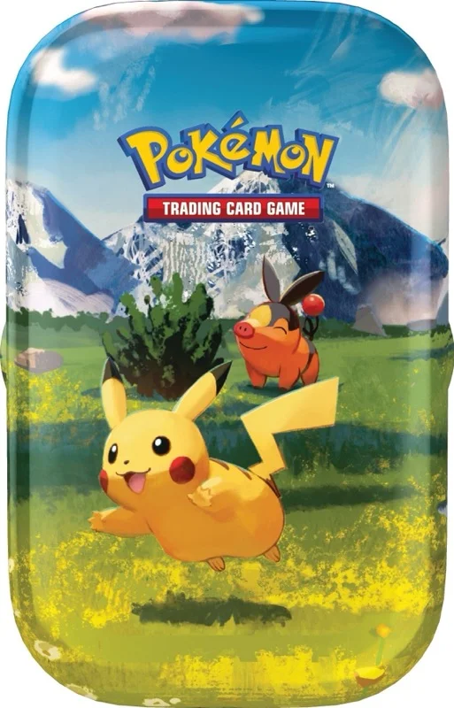 Coffret Premium Pikachu ex